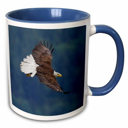 Bald Eagle Steel Mug - 3dRose Bald Eagle in Flight - Two Tone Blue Mug, 11-ounce