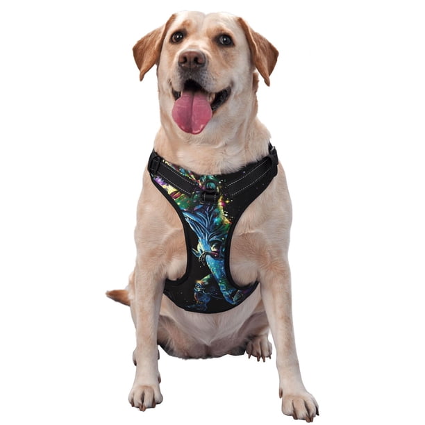 Fotbe colorful flames dinosaur Arnés para Perro con Estampado –Chaleco Ajustable Acolchado con Asa de Control para Perros Grandes-X-Large