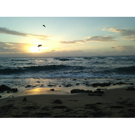 LAMINATED POSTER Puerto Rico Sea Clouds Sunset Beach Birds Horizon Poster Print 24 x