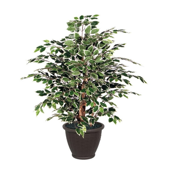 Vickerman 4' Artificial Variegated Ficus Extra Full Bush, Brown Plastic Container.