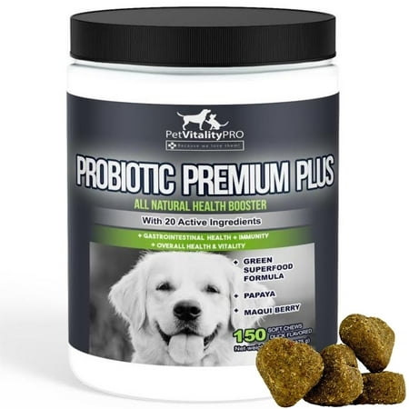 Probiotics for Dogs DOG PRO by Pet Health Essentials Proven Remedy for Smelly Gas Bad Breath Diarrhea Best Nutritional Proflora Supplements + Acidophilus - Improves Digestion Vitality