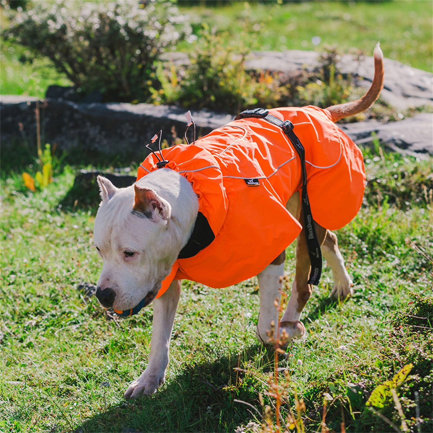 Pefilos Pet Dog Coats for Medium Dogs Winter Cozy Waterproof Windproof Reversible Dog Jacket for Small Dogs Girl, Adjustable Drawstring Warm Dog Jackets for Large Dogs Sport Vest Orange L Pefilos Pet Dog Coats for Medium Dogs Winter Cozy Waterproof Windproof Reversible Dog Jacket for Small Dogs Girl, Adjustable Drawstring Warm Dog Jackets for Large Dogs Sport Vest Orange L