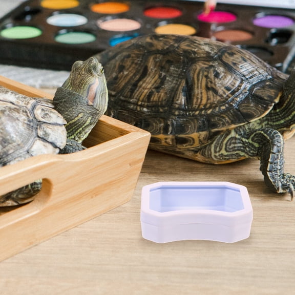 UPOUART 10Ud Para Y Comida De Reptiles Fácil De Y Agarrar