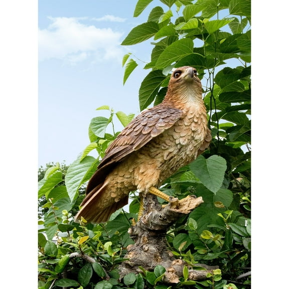 Wild Hawk standing on branch Garden Statue