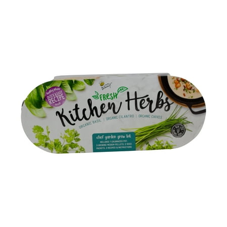 Buzzy Seeds Organic Herb Garden Windowsill Grow Kit Indoor Seed Starter