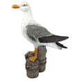 thumbnail image 2 of Design Toscano QL56461 Dockside Seagull Coastal Decor Garden Statue, 17 Inch, Full Color, 2 of 6