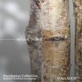 thumbnail image 3 of Maia Shop 5ft Artificial Eucalyptus Tree, Fake Plants for Home Decor, 3 of 10