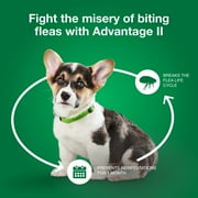 Advantage II Vet-Recommended Flea Prevention for Small Dogs 3-10 lbs, 6-Monthly Treatments
