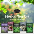 thumbnail image 5 of Herbal Tea Seeds 5 Pack - Lavender, Mint, Echinacea, Lemon Balm, Chamomile - Full Sun Perennial Herb, 5 of 7