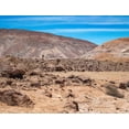 thumbnail image 2 of Noah Jigsaw Puzzle Atacama Desert in the commune of Camarones, north of Chile, presence of candelabra cactus 1000 pieces, 2 of 2