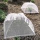 thumbnail image 4 of 6-pack Large and Tall Pop-up Net Food Cover Tent Parasol for Outdoors, Screen Tents, Parties Picnics, BBQs, Reusable and Foldable, 4 of 4
