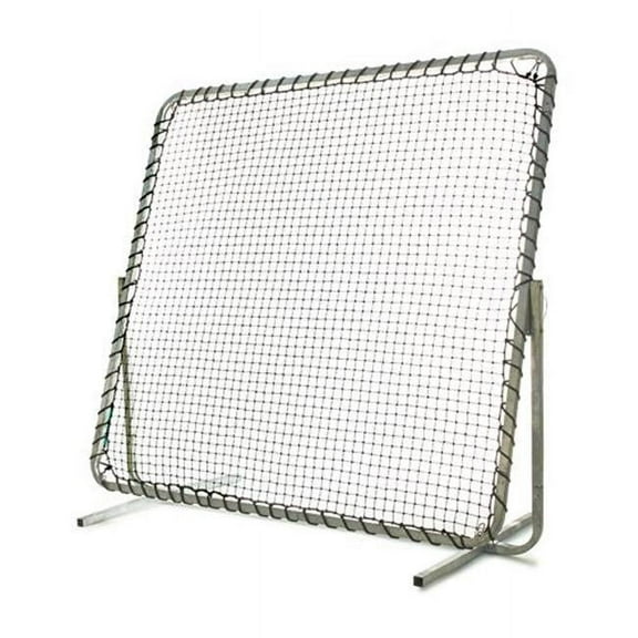 SSN 1378661 Collegiate Rebounder Screen