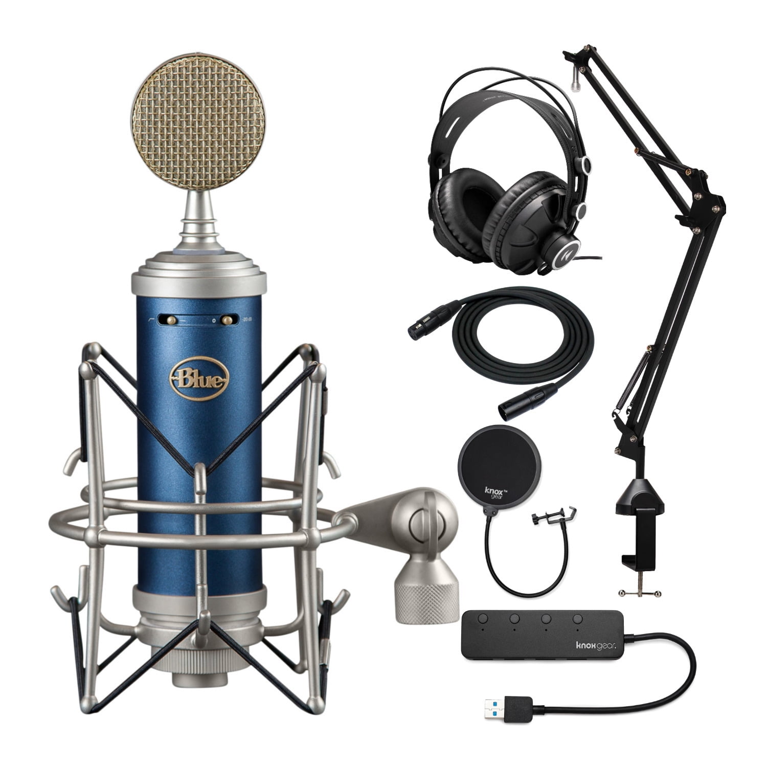 Blue Microphones Bluebird Large Diaphragm XLR Condenser Mic Studio
