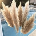thumbnail image 1 of PEONAVET Giant Reed Natural Dryness - Wedding Bouquet Is A Favorite Wedding Color within The Natural, 1 of 4