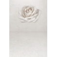 thumbnail image 1 of BSDHOME Polyester 5x7ft White Rose Flower Pure Photography Backdrops Photo Studio Stand Props Wedding Background, 1 of 2