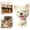 Z-2-B, variant on Cute Shaking Head Dog Figurine, Mini Bobbing-Head Dog for Car Decor, Adorable Dog Ornament for Car Dashboard, Shaking Head Dogs Car Resin Ornament for Desk Decor 2.3x3.7 Inch 1Pcs