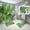 Christmas Pine Cones 05, variant on 4 Piece Christmas Pine Cones Shower Curtain Set Holly Baubles Evergreen Leaves Bathroom Sets with Non-Slip Rugs, Toilet Lid Cover and Bath Mat with Standard Size