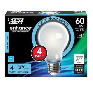 GE Lighting, Halogen Floodlight Bulb, 80W, 2-pack 1600-Lumen PAR38