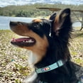 thumbnail image 2 of Pawtitas Reflective Dog Collar for Dog and Puppies Extra Small and Small Puppies - Black S Collar, 2 of 9