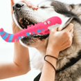 thumbnail image 4 of Lizard Shape Dog Chew Toy Squeaky Dog Toy Dog Chew Toy Puppy Chewer Puppy Supply, 4 of 4
