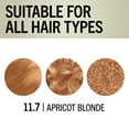 thumbnail image 6 of Schwarzkopf Keratin Blonde Hair Dye Apricot Blonde 11.7, Hi-Lift Permanent Color, 1 Use, 6 of 11