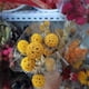 thumbnail image 5 of Ramo de flores amarillas falsas de flores Craspedia secas naturales 2 piezas brillar Electrónica, 5 of 5