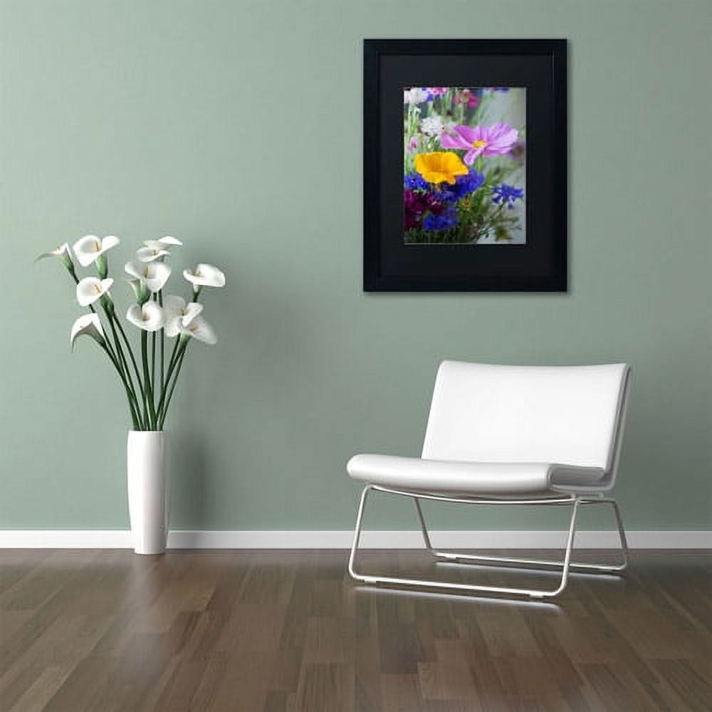 Trademark Fine Art "Cosmo Duo" Canvas Art by Philippe Sainte-Laudy, Black Matte, Black Frame