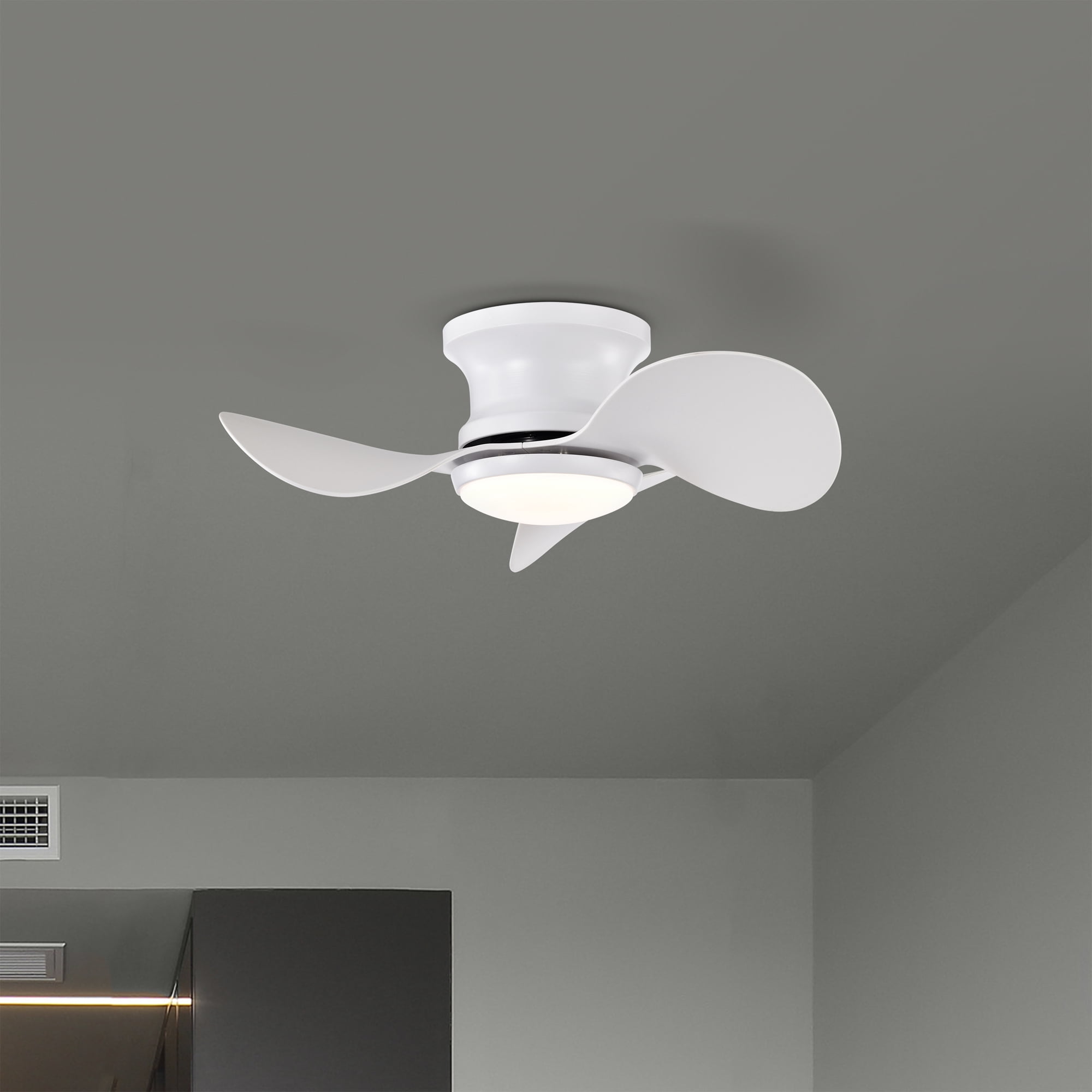 Niamh 24 in. 1-Light Indoor White Finish Ceiling Fan with Light Kit