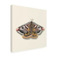 thumbnail image 4 of Canvas Wall Art - Michael Willett 'Watercolor Moths I' Wall Art for Living Room, Bedroom, or Office Décor by Trademark Fine Art - 24 x 24 Inches, 4 of 4