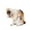 Multicolor, variant on MeetYTOYS Cute Miniature Cats Landscape Lovely Figurines Fairy Home Garden Animals Christmas Birthday Gift for Home Garden Decor Ornament Supplies 1PC