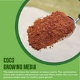 thumbnail image 7 of Coco Coir Chips 4-Pack Envelor 2.4 Cu. Ft. Compressed Coconut Coir Bricks 10 lb. Natural Substrate for Indoor Outdoor Coco Chips for Plants Orchid Bark Coco Coir Brick Plant Soil Indoor Potting Mix, 7 of 7