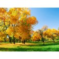 thumbnail image 3 of Póster de lienzo con decoración de otoño, hojas amarillas, vista de otoño, arte de pared, impresión, pintura de puente, imagen de Halloween, decoración del hogar para sala de estar, 3 of 5