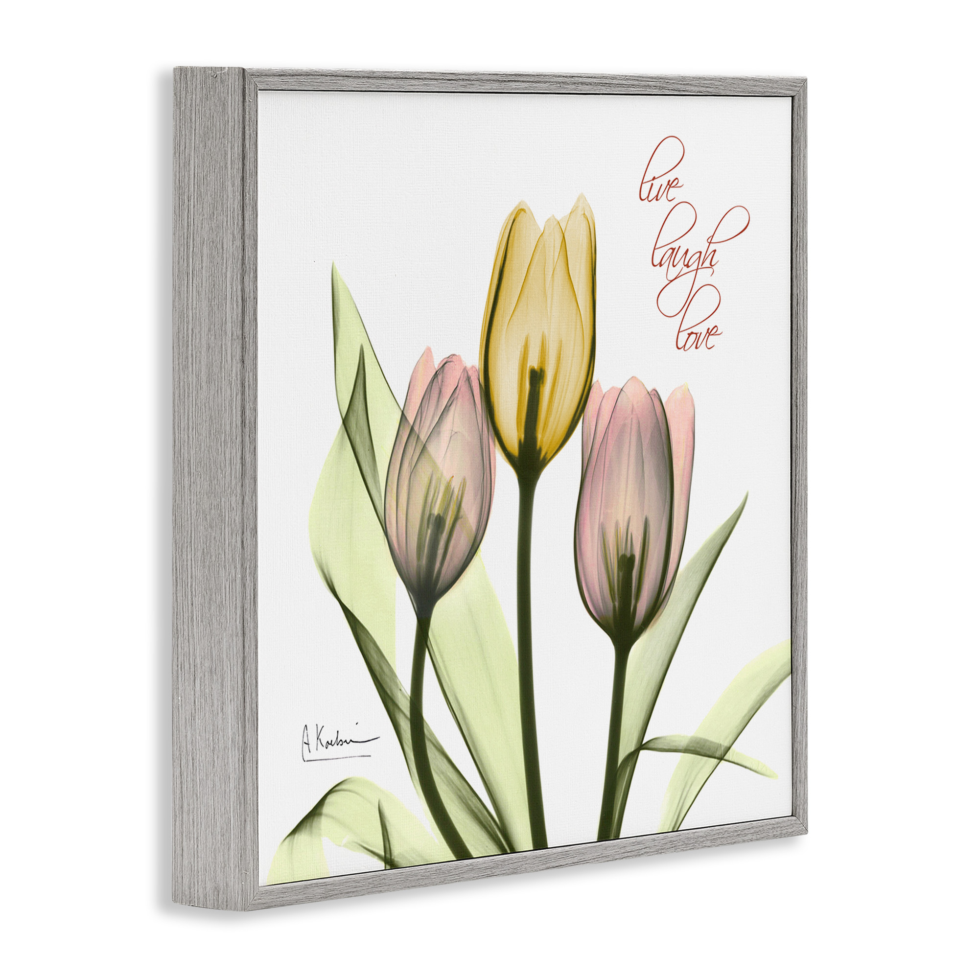 Stupell Industries Live Laugh Love Tulips Typography Photography Gray Framed Art Print Wall Art, 24 x 24