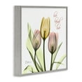 thumbnail image 3 of Stupell Industries Live Laugh Love Tulips Typography Photography Gray Framed Art Print Wall Art, 24 x 24, 3 of 9