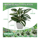 thumbnail image 2 of 4 Macetas Plantas Artificiales Macetas Decorativas Bonsai Malubero Blanco, 2 of 5