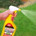 thumbnail image 4 of Dr. Earth Organic & Natural Final Stop Yard & Garden Insect Killer, 24 oz RTU, 4 of 7