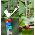 thumbnail image 4 of SENRISE Plants Tape Grafting Tape for Grapes Tomatoes Flowers, 4 of 4