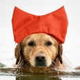 thumbnail image 4 of Reusable Pet Ear Shower Hood for Safe Bathing Grooming and Swimming Activities, 4 of 5