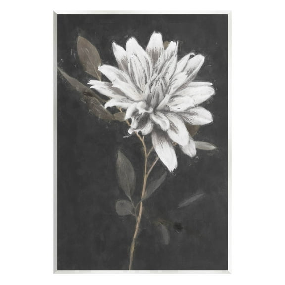 Stupell Industries Blooming Dahlia Flower Black Background Painting Unframed Art Print Wall Art, Design by Nina Blue
