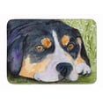 thumbnail image 1 of Carolines Treasures SS8596RUG Entlebucher Mountain Dog Tapis en Mousse à Mémoire de Forme Lavable en Machine, 1 of 4