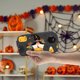 thumbnail image 4 of Caja de Lápiz de Niños Impresa de Halloween, Caja de Lápiz de Estudiantes de Gran Capacidad Caja de Lápiz Suave, 4 of 4