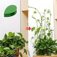 thumbnail image 3 of SharkTRUE Plant Climbing Wall Fixture Clips with Acrylic Adhesive Sticker,New Wall Vines Fixing Clips, Leaf Fixer Invisible Walls Vines Fixing Clip Hook for Indoor Outdoor Decoration, 3 of 10
