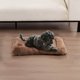 thumbnail image 2 of Colchón lavable para jaula de perro Calmante Ansiedad Camas de perro Estera de perro con fondo antideslizante Pequeña cama de perro, 2 of 4