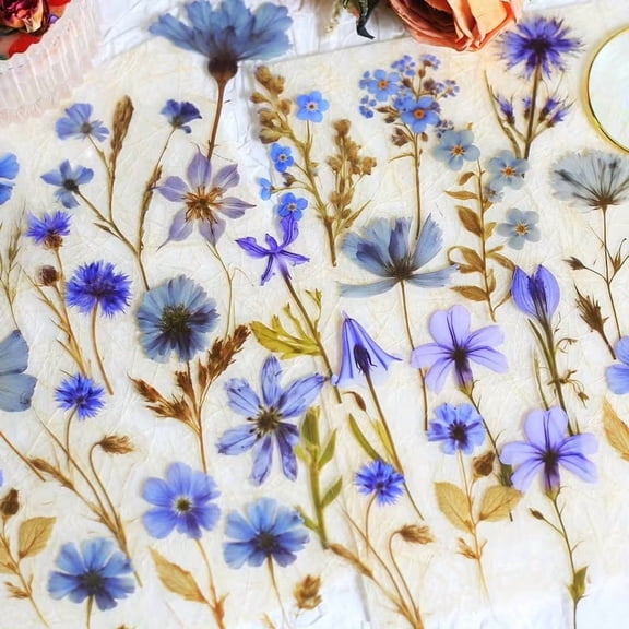 50pcs Transparent Pressed Flower Stickers for Scrapbooking Journaling Crafting
