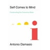 Self Comes to Mind : Constructing the Conscious Brain, Used [Hardcover]