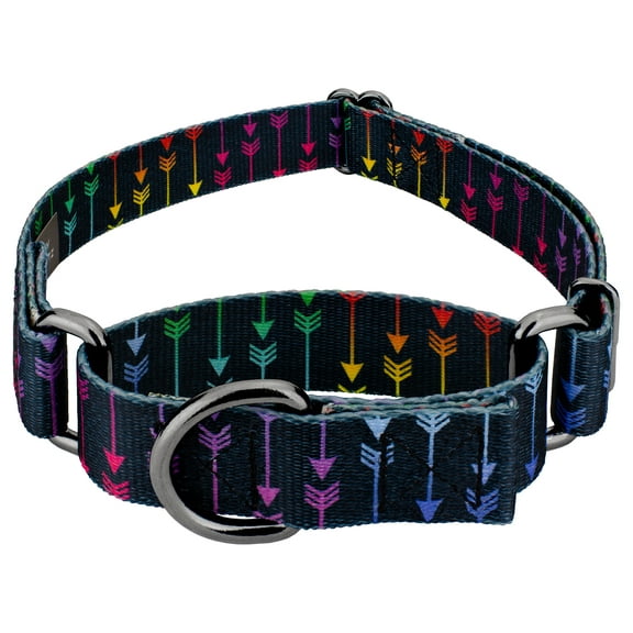 Country Brook Petz® Colorful Arrows Gunmetal Martingale Dog Collar, Medium