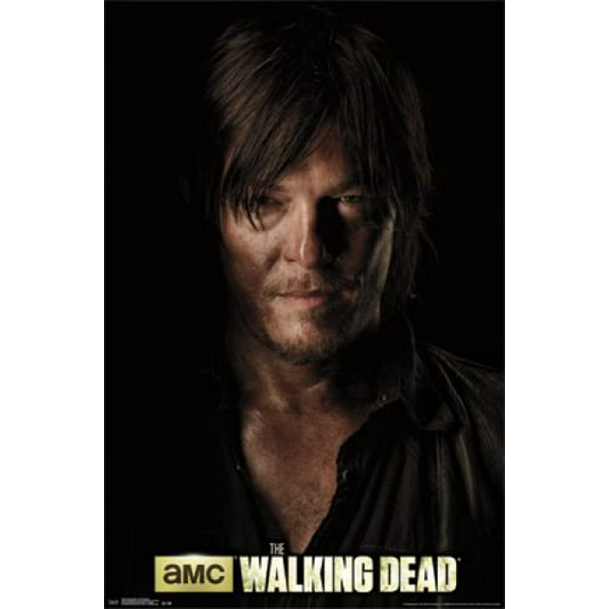 13+ Best Walking dead wall art images info