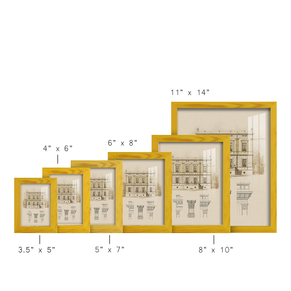 Estate & Plan IV -Framed Print w/glass-Sunflower Yellow