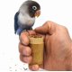 thumbnail image 3 of 5 Pack Parrot Bird Toys, Bird Training Toy Set Wooden Bird Block Puzzle Toy Training For Parrots, Parakeets, Lovebirds, 3 of 5