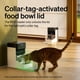 thumbnail image 3 of Comedero para mascotas PETLIBRO Dual-Cat RFID, comedero automático para 2 gatos, paquete de 2, 3 of 7